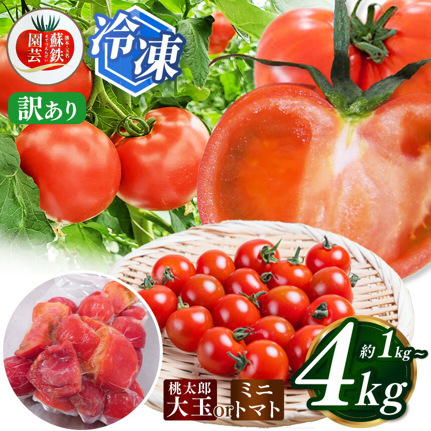 【ふるさと納税】訳あり 選べる 種類 内容量 冷凍 桃太郎トマト 1kg 2kg 3kg 4kg ミニトマト 1kg 2kg | 桃太郎 桃太郎トマト ミニトマト 訳あり 冷凍 旬 熊本県 玉名市