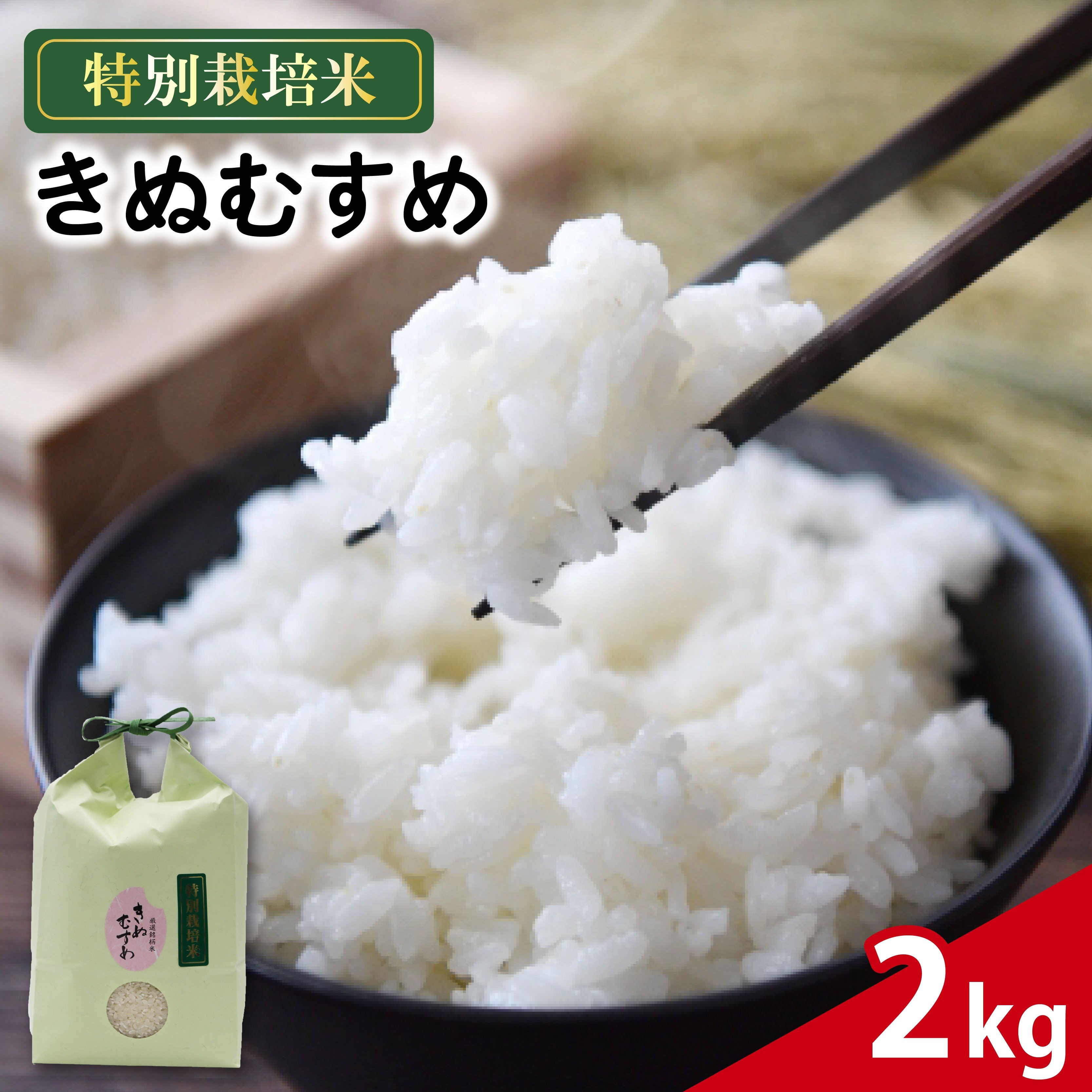 
            米 きぬむすめ 2kg 農家直送 特別栽培米 精米 お米 中生種 新生活 ごはん 主食 おすすめ 人気 ひとり暮らし 便利 仕送り 産地直送 おこめ 藤枝産 ご当地 国産 常温 一人暮らし 家庭 贈り物 人気米 おにぎり ご飯 白米 コメ 贈答 静岡県 藤枝市 藤枝 10000円以下
          