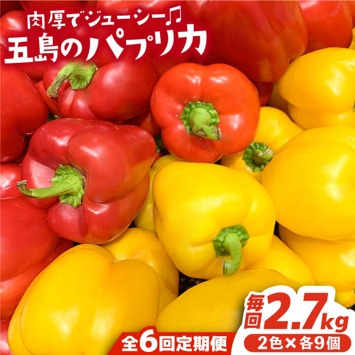 【ふるさと納税】【全6回定期便】五島のパプリカ 計18個 野菜 サラダ 野菜炒め 【HPIファーム】 [PCP005] 野菜 やさい 国産 新鮮 緑黄色野菜 産地直送 とれたて