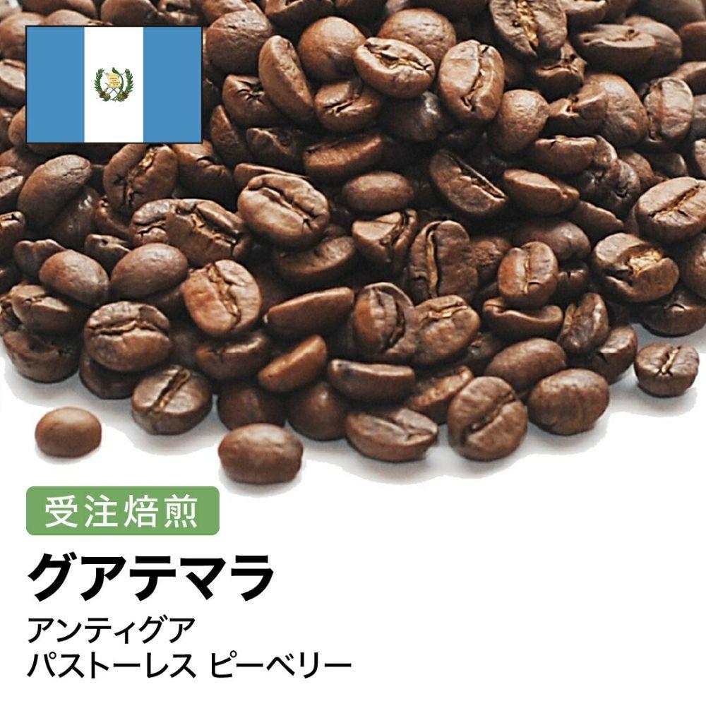 【ふるさと納税】コーヒー豆 #265 グアテマラ アンティグア パストーレス ピーベリー 受注焙煎！310g 珈琲豆 自家焙煎 | 珈琲 飲料 コーヒー豆 ソフトドリンク 人気 おすすめ 送料無料