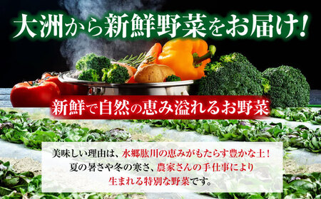 野菜 定期便 12回（6-7種）少量 野菜セット[AGBX046]