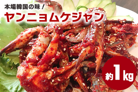 ヤンニョムケジャン カニ キムチ 韓国料理 AF-004