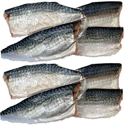 ふるさと納税 美浜町 【2025年4月上旬発送】塩さばフィレ8枚入(真空パック入) |  | 02