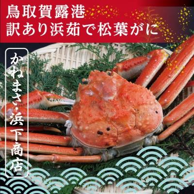 ふるさと納税 鳥取市 鳥取賀露港 訳あり浜茹で松葉がに 大 1枚【かねまさ・浜下商店】