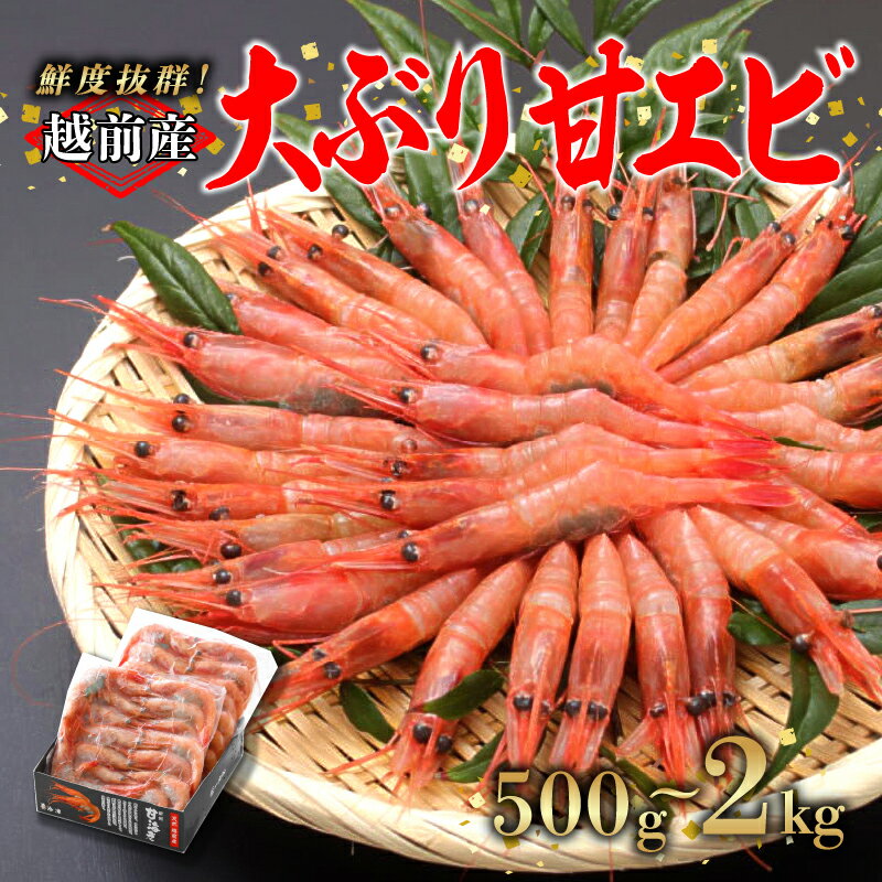【ふるさと納税】【選べる容量！】【小分け】越前産冷凍甘えび大サイズ 500g / 1.0kg / 1.5kg / 2.0kg [C-11012] / 甘えび 甘エビ えび 大ぶり甘エビ 海老 海鮮 刺身 冷凍 福井県鯖江市