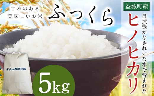 令和6年産 熊本 益城町産 精米 ヒノヒカリ 5kg 米 お米