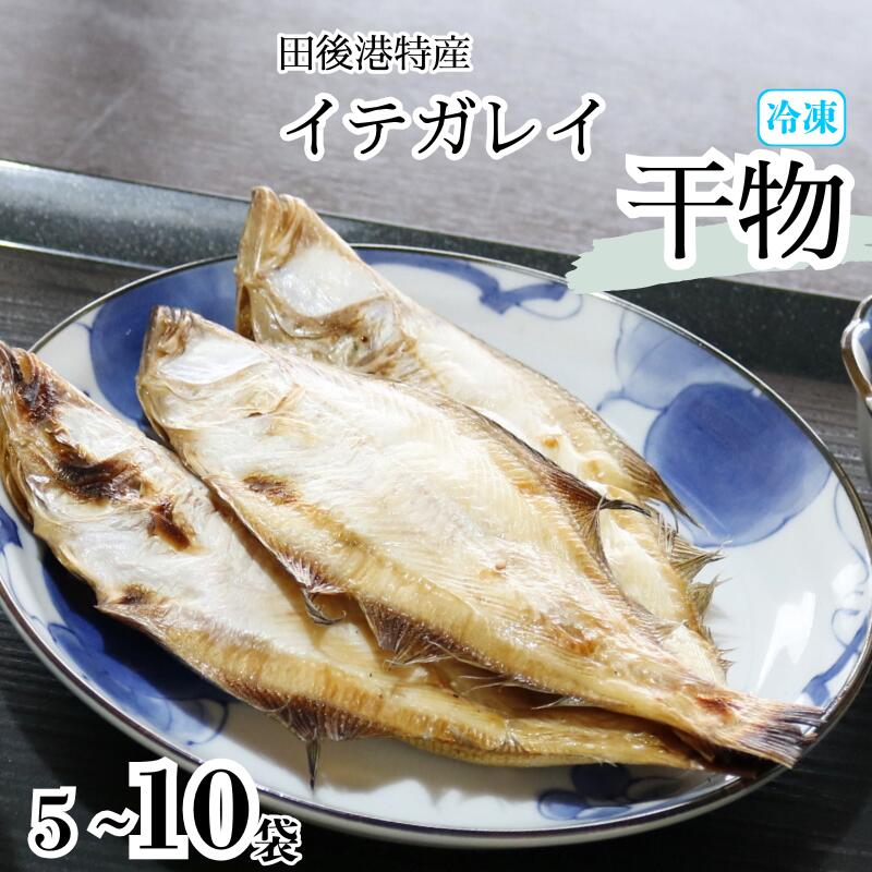【ふるさと納税】イテガレイ干物5~10個セット｜鳥取 岩美 カレイ ひもの 魚介 魚 田後漁港