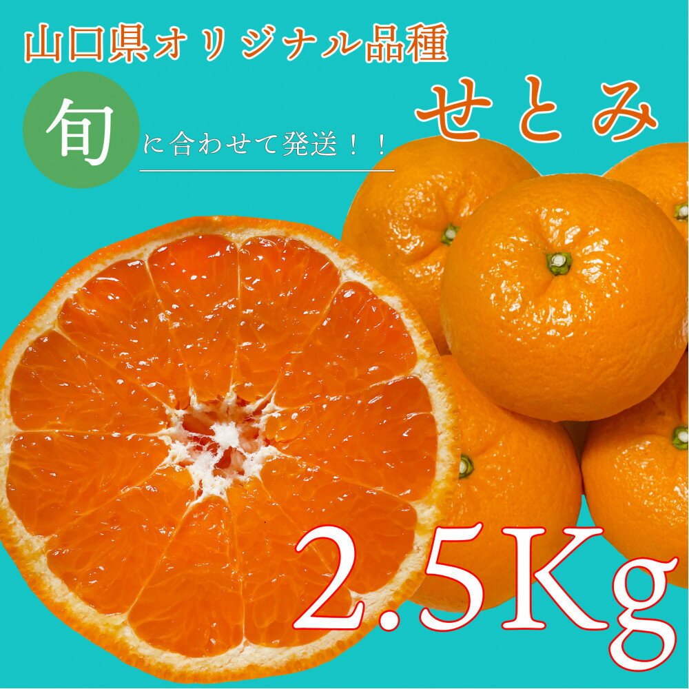 【ふるさと納税】【2026年2月下旬～3月頃より順次発送】山口県が誇るオリジナル柑橘《せとみ》2.5kg