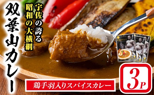 双葉山カレー(計540g・180g×3P) 鶏肉 鳥肉 とりにく とり肉 お肉 カレー チキンカレー スパイスカレー レトルト 簡単調理 常温 保存【115601400】【SFPコンサルティング】