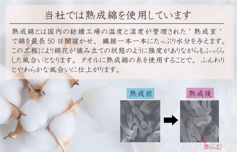 【スピード発送】普段使いにぴったりのミニバスタオル 4枚セット  グレージュ 泉州タオル【泉州タオル 国産 吸水 普段使い 無地 シンプル 日用品 家族 ファミリー】 G2216
