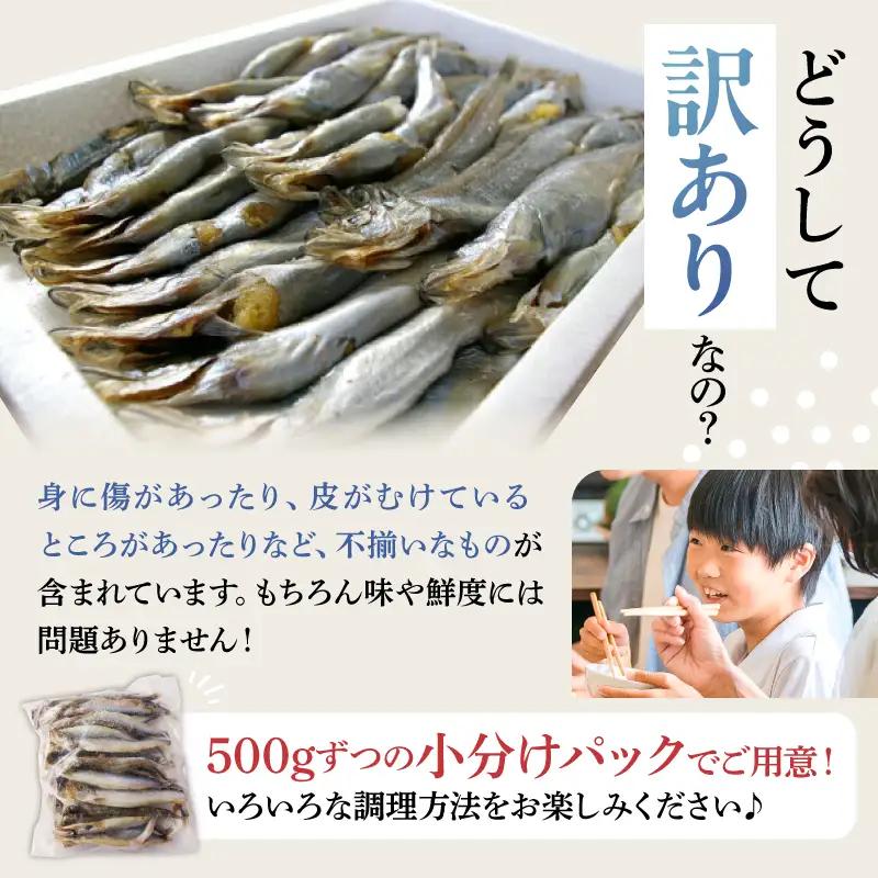 【訳あり】子持ちシシャモ 500g（500g×1袋） mi0012-0186