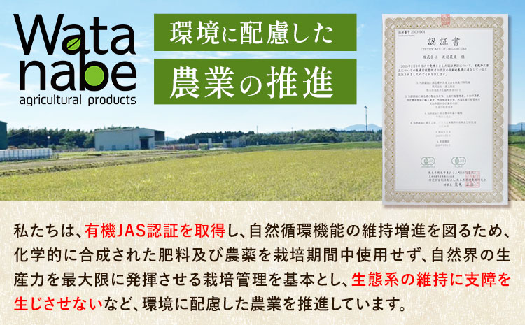 令和7年産 有機JAS 七城産ひのひかり 玄米 4kg 《30日以内に出荷予定(土日祝除く)》渡辺農産熊本県 菊池市 米 お米 精米 ひのひかり 菊池市産 熊本県産 九州産 送料無料---171-19