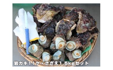 
【冷蔵】岩ガキ・さざえ　約７kg～約７.5kg 豪華セット／貝　牡蠣　かき　バーベキュー　伊勢志摩産
