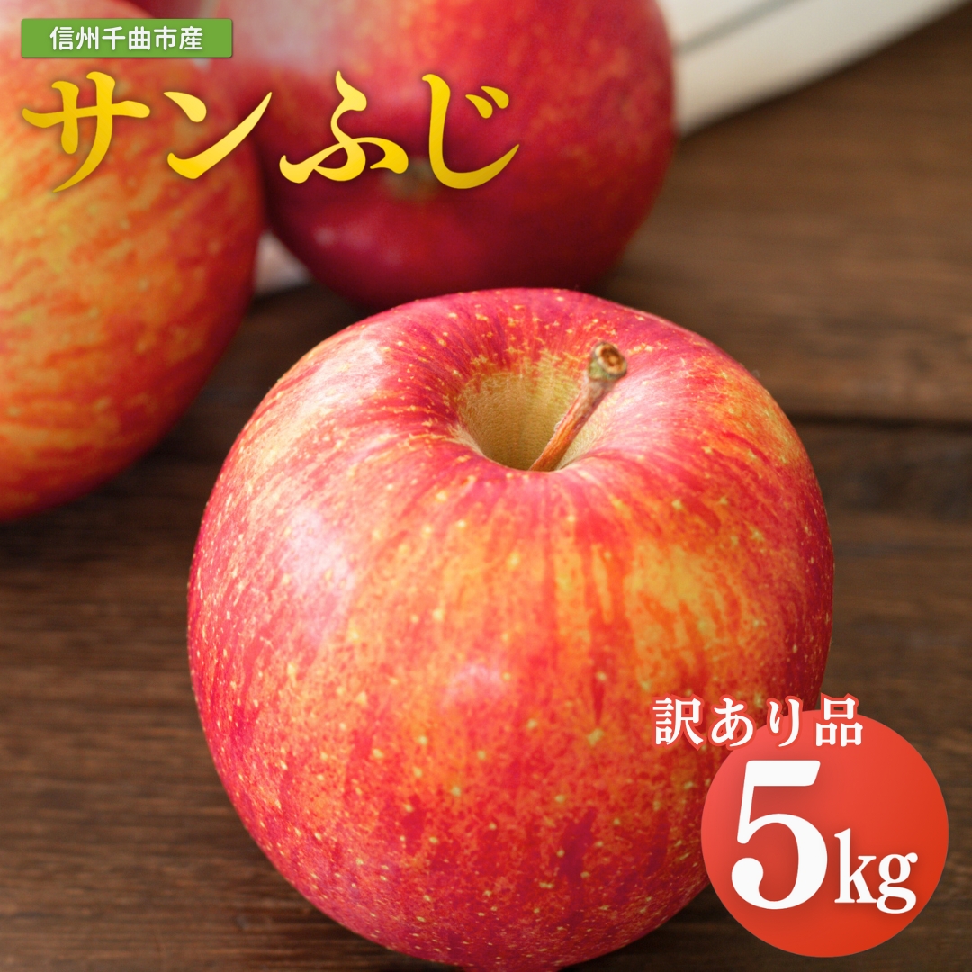 【2026年先行予約】りんご サンふじ 家庭用 訳あり 約5kg｜ リンゴ 林檎 フルーツ 果物 信州りんご 長野県産 千曲市 信州