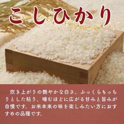 ふるさと納税 小浜市 令和7年産 こしひかり白米10kg |  | 01