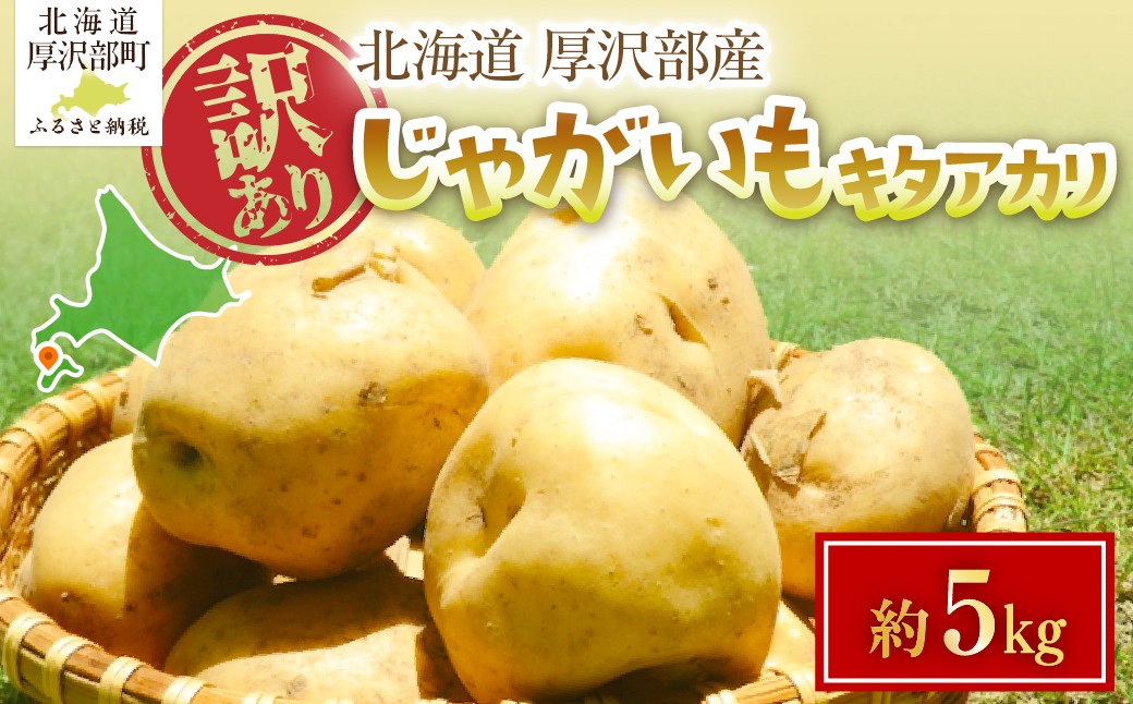 
                  【2026年7月下旬頃より順次発送】(訳あり) じゃがいも キタアカリ 5kg 【 ふるさと納税 人気 おすすめ ランキング じゃがいも ジャガイモ キタアカリ カレー コロッケ 煮物 北海道 厚沢部 送料無料 】 ASG084
                