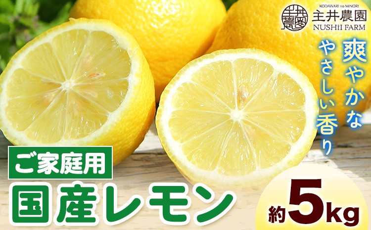 
                  レモン ご家庭用国産レモン 約5kg 主井農園《2月上旬-５月上旬頃出荷》 和歌山県 日高町 れもん レモン 檸檬 lemon 柑橘 国産レモン 料理 レモンサワー 送料無料
                