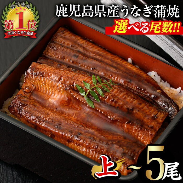 【ふるさと納税】＜尾数・配送回数が選べる！＞無投薬！鹿児島県産うなぎ蒲焼セット＜上＞(計280g以上〜計700g以上・140g以上×2尾〜5尾 / 定期便 全3回 計840g以上・140g以上×2尾×3回) タレ・山椒付き 鰻 うなぎ 蒲焼【西日本養鰻】