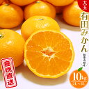 【ふるさと納税】 ＼ みかんの名産地 和歌山県産／ 農家直送 大玉 有田みかん 10kg （2L〜3L） ひとつひとつ手選別で厳選【2024年11月下旬～1月中旬ごろに順次発送予定】 先行予約 みかん 有田みかん お正月 正月