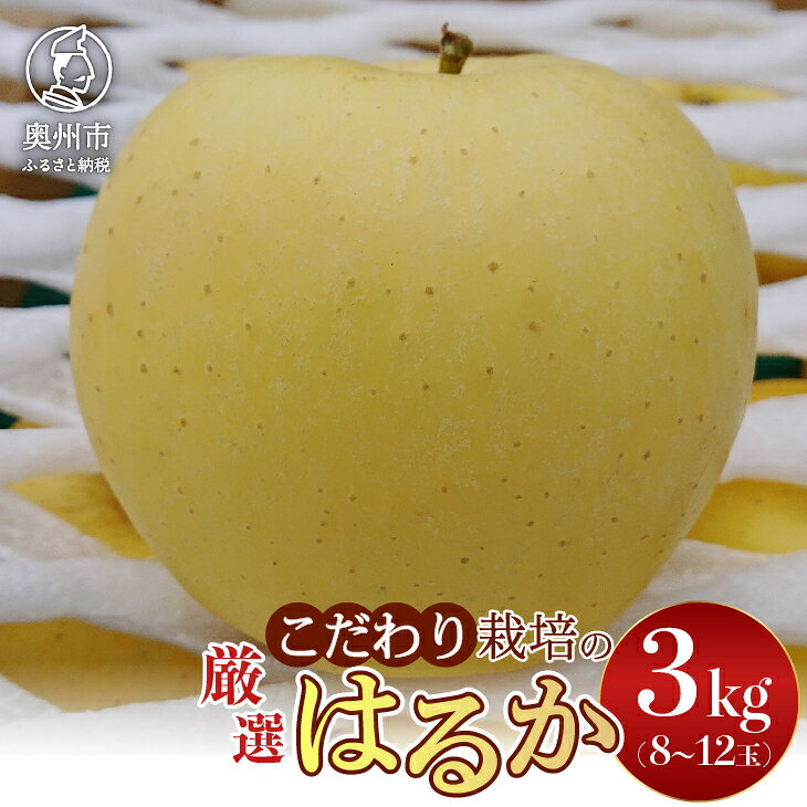【ふるさと納税】 りんご スターファーム こだわり栽培 はるか 約3kg 岩手県奥州市産 厳選品 産地直送 常温 林檎 フルーツ 果物 期間限定 [AY002]