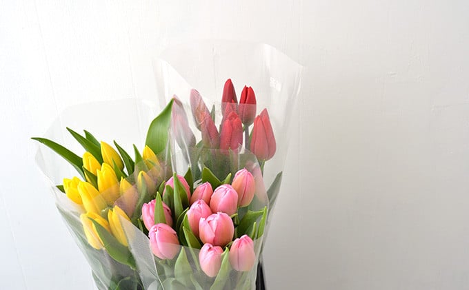 
            フラワーファームしろねのチューリップ切花30本（黄・赤・ピンク　各10本）
          