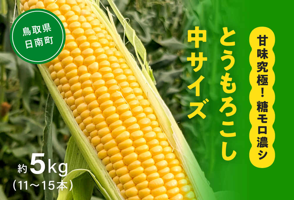 甘味究極！ 糖モロ濃シ 中サイズ 5kg(11～15本)【とうもろこし】朝どれ直送 スイートコーン 産地直送 【配送不可地域：離島】 鳥取県日南町 星の農園