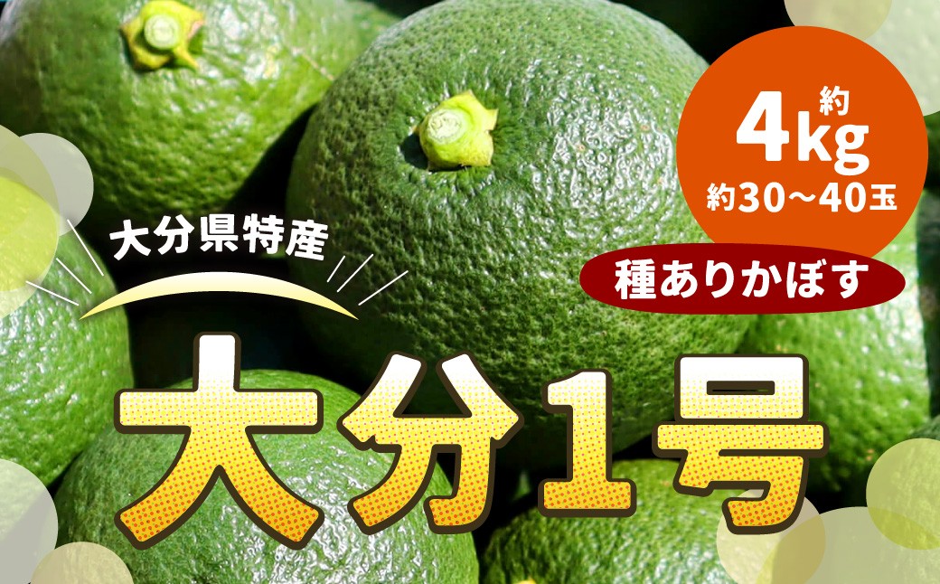 
                  178-1250x1 大分 1号（種あり） 約4kg（約30～40玉） カボス 青果 かぼす 柑橘 果汁 果物 大分県産 国産 九州産 【2026年12月上旬迄発送予定】
                