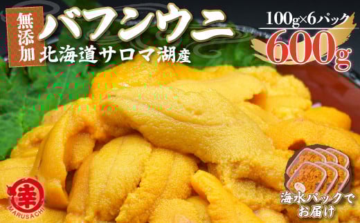 【先行予約】サロマ湖産 無添加 バフンウニ 600g（100g×6）海水パック  【 ふるさと納税 人気 おすすめ ランキング 魚介類 うに ばふんうに バフンウニ 雲丹 ウニ 海鮮丼 ウニ丼  新鮮 オホーツク 北海道 佐呂間町 送料無料 】 SRMA020