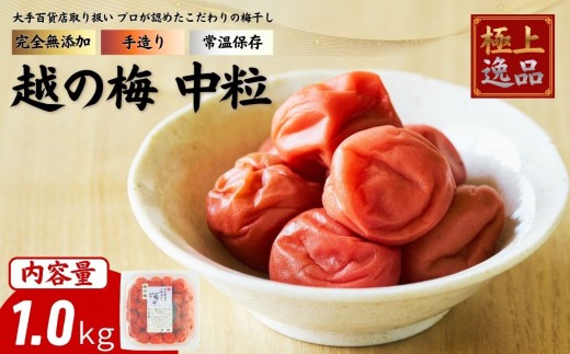 及川農園 梅干し 越の梅 【中粒】 1.0kg / 賞味期限 約3年 国産 手作り 完全無添加 大手航空会社 国際線 ファーストクラス 12年連続採用 百貨店取り扱い 梅 セット グルメ お取り寄せ 特別 ギフト 贈答品 贈り物 送料無料 【#0159-1000】