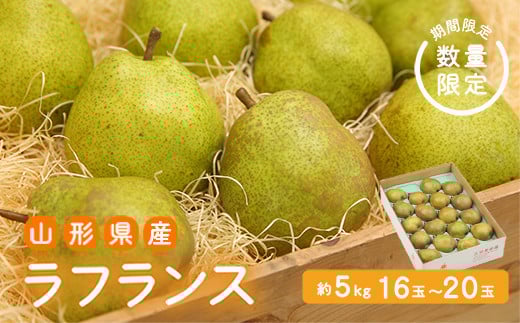 
            《先行予約 2025年度発送》【王将果樹園】ラフランス5kg～生産量日本一のまちより～  なし ナシ 梨 デザート フルーツ 果物 くだもの 果実 食品 山形県 FSY-1901
          