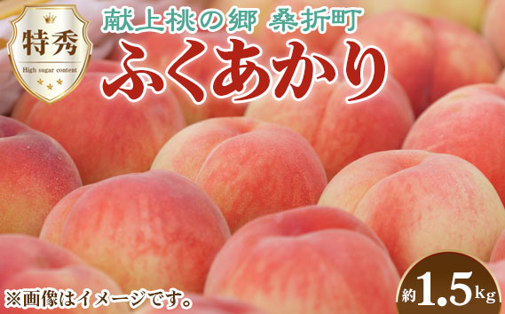 もも【ふくあかり・2026年産先行受付】特秀1.5kg　桑折町産　JAふくしま未来　桃 No.166