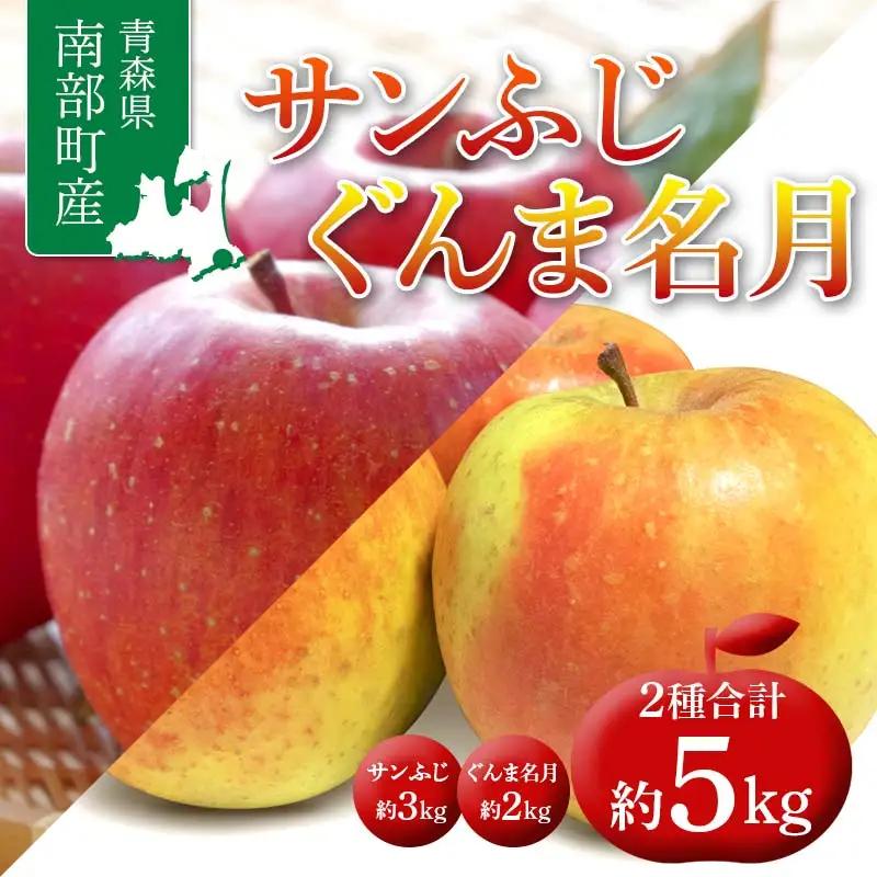 青森県 南部町産 サンふじ ・ ぐんま名月 食べ比べセット 約5kg 【盛果園】 青森りんご 青森県産りんご リンゴ 林檎 アップル 黄色りんご 果物 くだもの フルーツ セット 3kg 以上 おすす