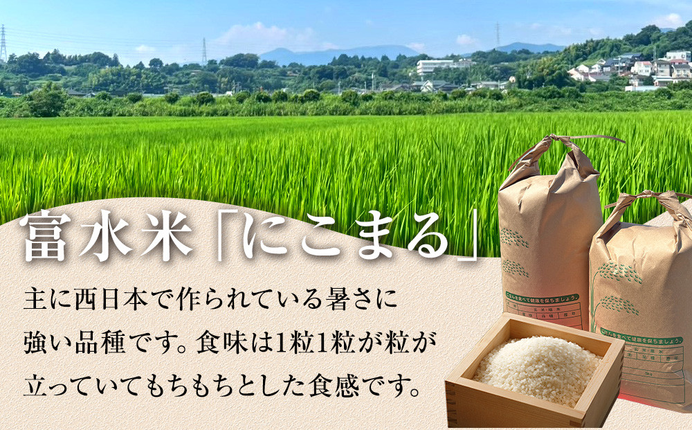 令和7年産　富水米　精米　20kg　にこまる