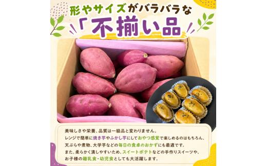 なると金時 2kg サイズ 不揃い さつまいも 鳴門金時 国産 スイーツ 焼き芋 焼芋 焼いも 干し芋 ギフト 贈り物 お土産 サツマイモ 徳島 