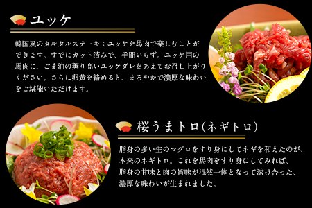 厳選プレミアム 馬刺し セット 460g 熊本 千興ファーム 馬肉 《60日以内に出荷予定(土日祝除く)》 冷凍 配送 新鮮 さばきたて 真空パック SQF ミシュラン 生食用 肉 菅乃屋 熊本県御船