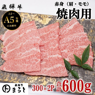 
                  ＜飛騨牛＞赤身焼肉用　300g×2　合計600g【1726925】
                