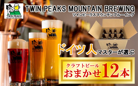 Twin Peaks Mountain Brewingのクラフトビールおまかせ12本セット【 つくば市 ふるさと納税 クラフトビール ビール お酒 酒 麦酒 麦芽 ホップ ドイツ ドイツビール 】