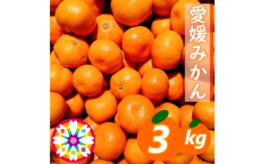 【先行受付】「 愛媛 みかん 」約3kg《 愛咲果樹園 》【A71-25】【1616827】 YWTS021