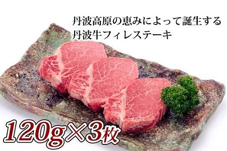 【京丹波・丹波牛】フィレステーキ 120g×3枚