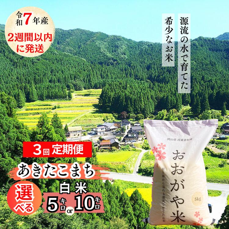 【ふるさと納税】＜2週間以内に発送＞R7年産　新米受付開始 【3回定期便】 おおがや米 あきたこまち　岡山県　西粟倉村　白米5kg・10kg G-al-BECA