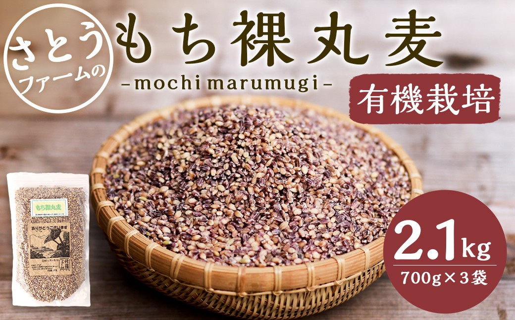 
                  さとうファームの もち裸丸麦 2.1kg(700g×3袋) お米 米 もち麦
                