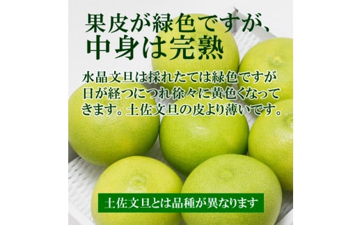 【先行予約】水晶文旦 ご家庭用お得箱 約６kg Mサイズ～４Ｌサイズ（12～１６個入り）〈2026年10月上旬～11月上旬頃発送〉訳あり ワケあり 訳 傷 キズ へこみ 文旦 ブンタン ぶんたん 水晶