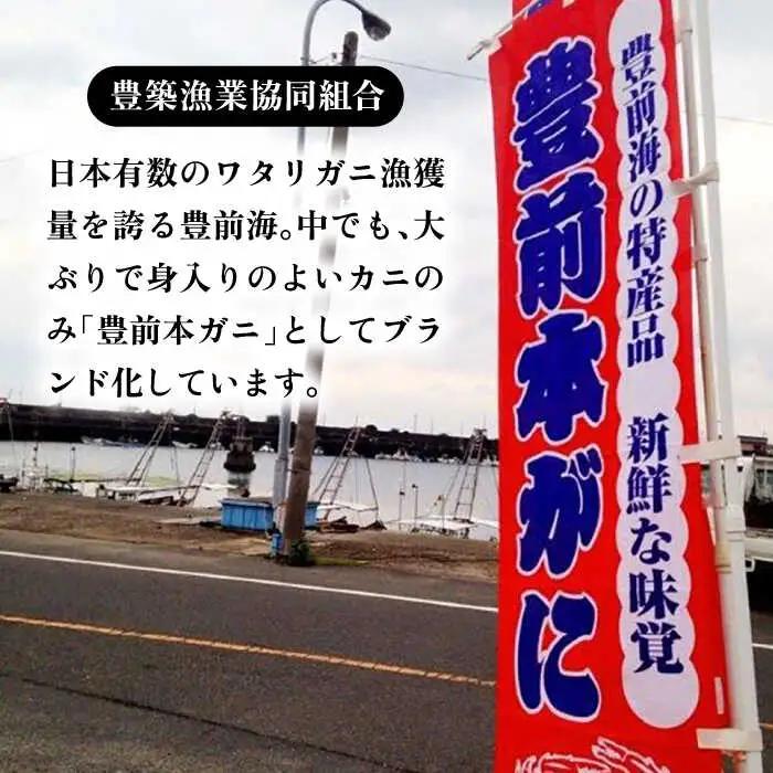 【先行予約】豊前本ワタリガニ 大 メス 3匹 直送 [VAG011] ﾜﾀﾘｶﾞﾆ 渡り蟹