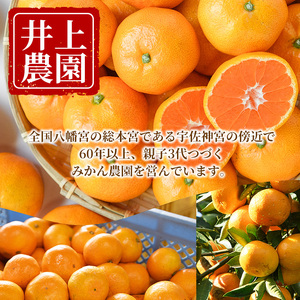 ＜先行予約受付中！1月上旬より順次発送予定＞数量限定 大分県宇佐市産 温州みかん(約10kg)みかん ミカン 蜜柑 柑橘 フルーツ 果物 くだもの 果実 国産【103620700】【井上農園】