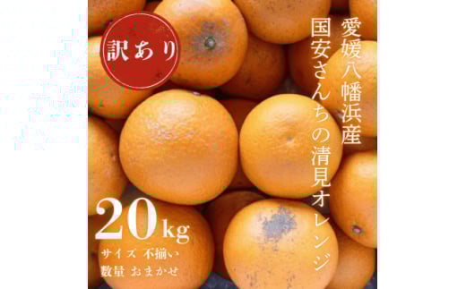 ＜まるで食べるジュース!越冬完熟品＞愛媛産 訳あり 清見オレンジ 20kg＜H20-35＞【1594863】