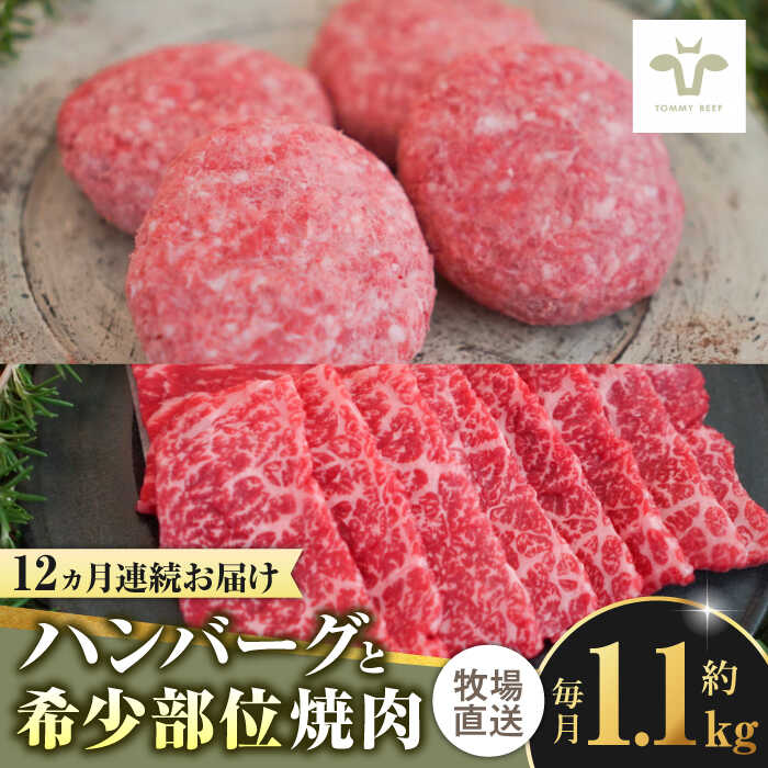 【ふるさと納税】【家計お助け返礼品】【全12回定期便】佐賀牛100％ハンバーグ4個と希少部位焼肉600g / 国産和牛 ブランド牛 牛肉 おかず / 佐賀県 / 有限会社佐賀セントラル牧場 [41ASAA205]
