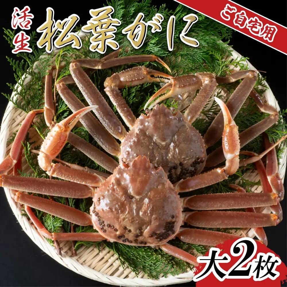 【活生】ご自宅用松葉ガニ 大 2枚 2026年11月～順次発送予定｜鳥取 日本海 松葉がに 松葉蟹 かに ズワイガニ【22058】