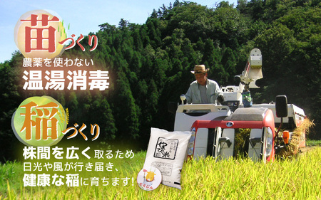 米 令和6年産 コシヒカリ（特別栽培米）5kg 新庄やまびこ米（白米） [m23-a007]