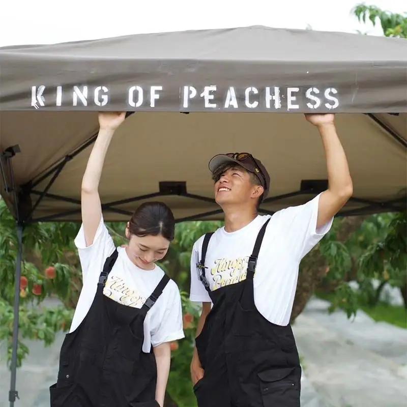 福島県産 桃 ゆうぞら 約3kg(8～12玉) KING OF PEACHESS キングオブピーチ 伊達の桃 桃 フルーツ 果物 もも モモ momo F21C-539