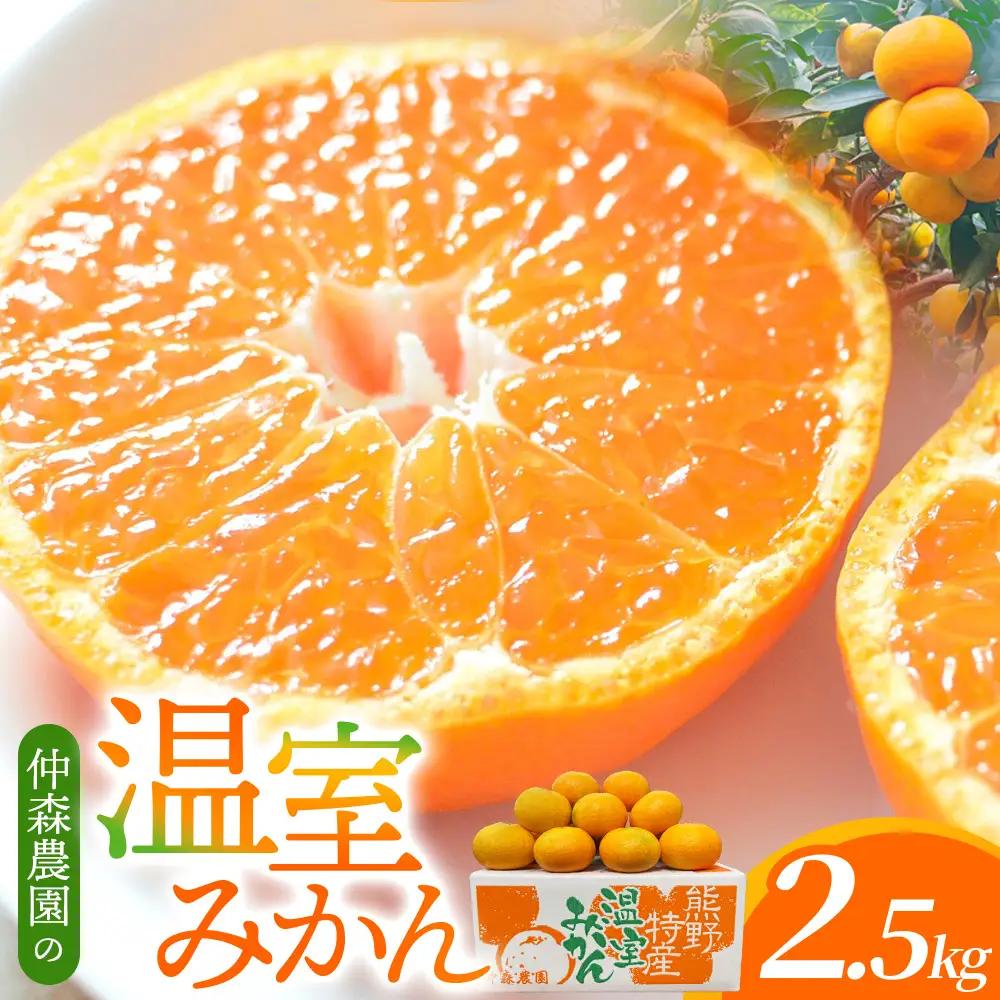 みかん 仲森農園の温室みかん 2.5kg【nkmr0001】